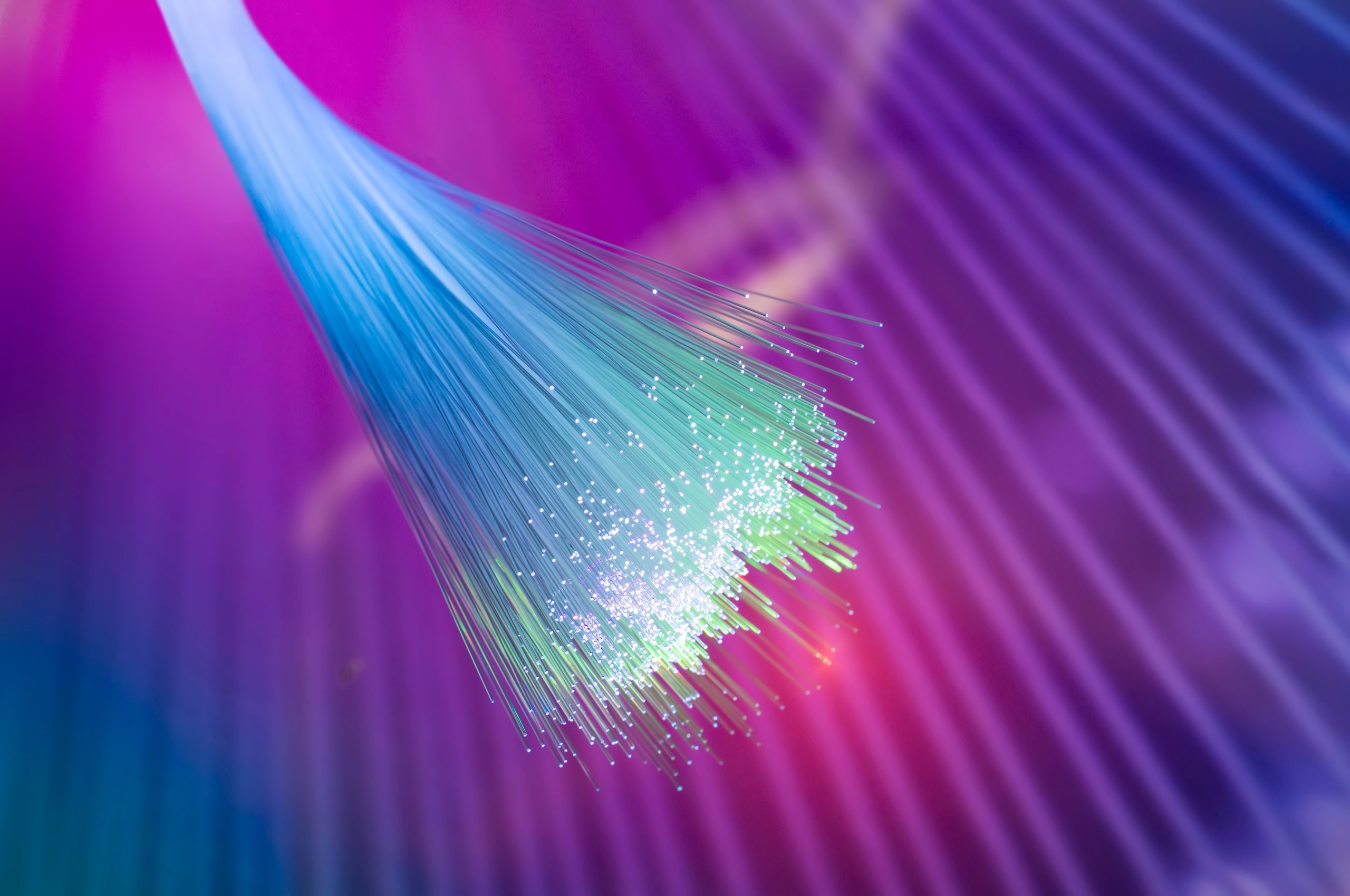 DBNET Fibra e Connettivita